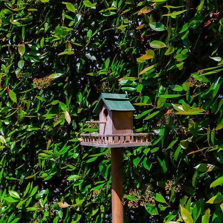 Lario10 By Quokka 360 - Garden And View Lejlighed *